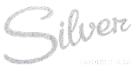 Logo for Senior Living Salon Services at Silver Salons and Spas